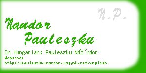 nandor pauleszku business card